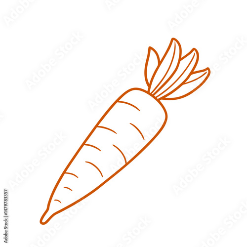 Sketch Illustration Of Vegetable