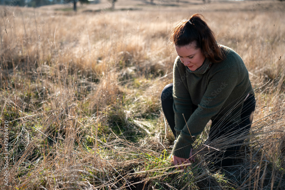 custom made wallpaper toronto digitalmature female farmer in a farming family. regenerative organic female farmer, taking soil samples and looking at plant growth in a farm. practicing agriculture