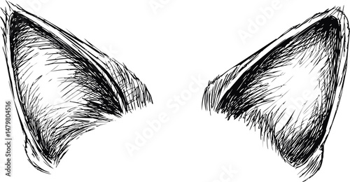 Detailed sketch of black and white cat ears drawing. Vector illustration