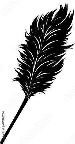 Silhouette of a detailed black feather with intricate lines. Vector illustration