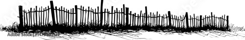 Silhouette of an old wooden fence with tall grass and shadows at sunset. Vector illustration