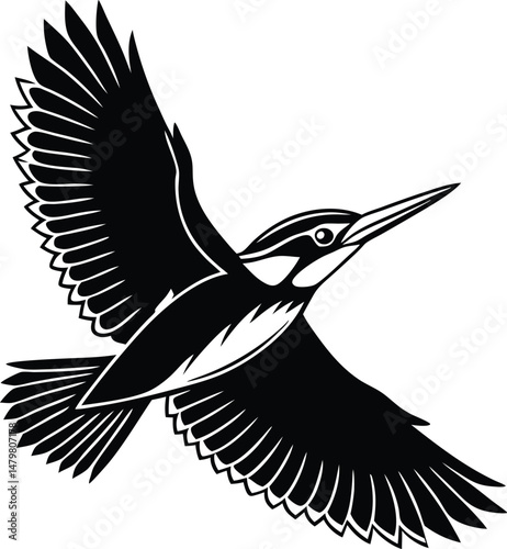 vector illustration of a bird king fisher silhouette 