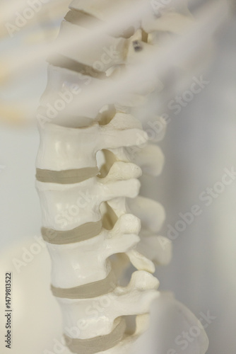 Detailed close-up of a huma...