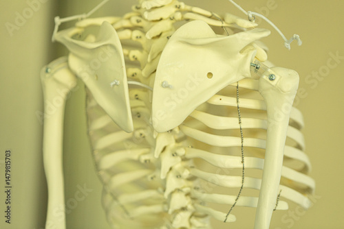 Detailed close-up of a huma...