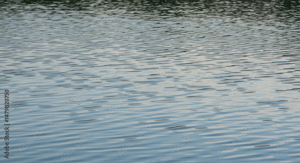 Fototapeta premium Gray gradient texture background