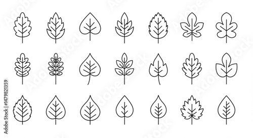 Simple line set of leaf icons.