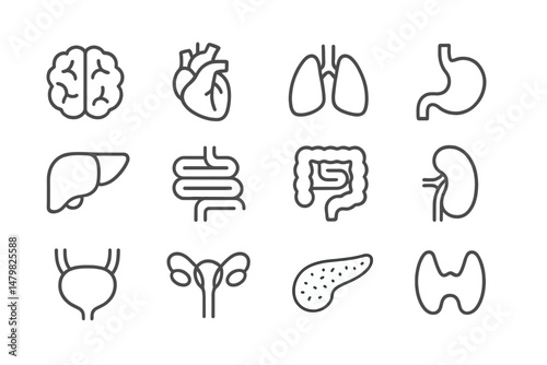 Collection of medical web icons representing human organs and their functions, ideal for health-related websites and applications