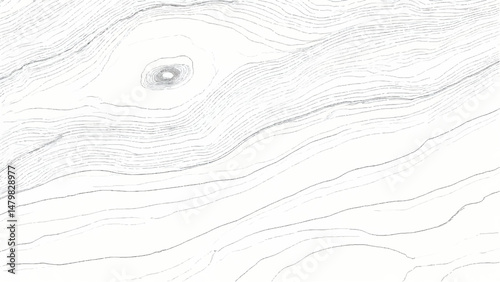 Wooden surface close-up with natural grain patterns. Wood grain background. Vector wood grain texture. 