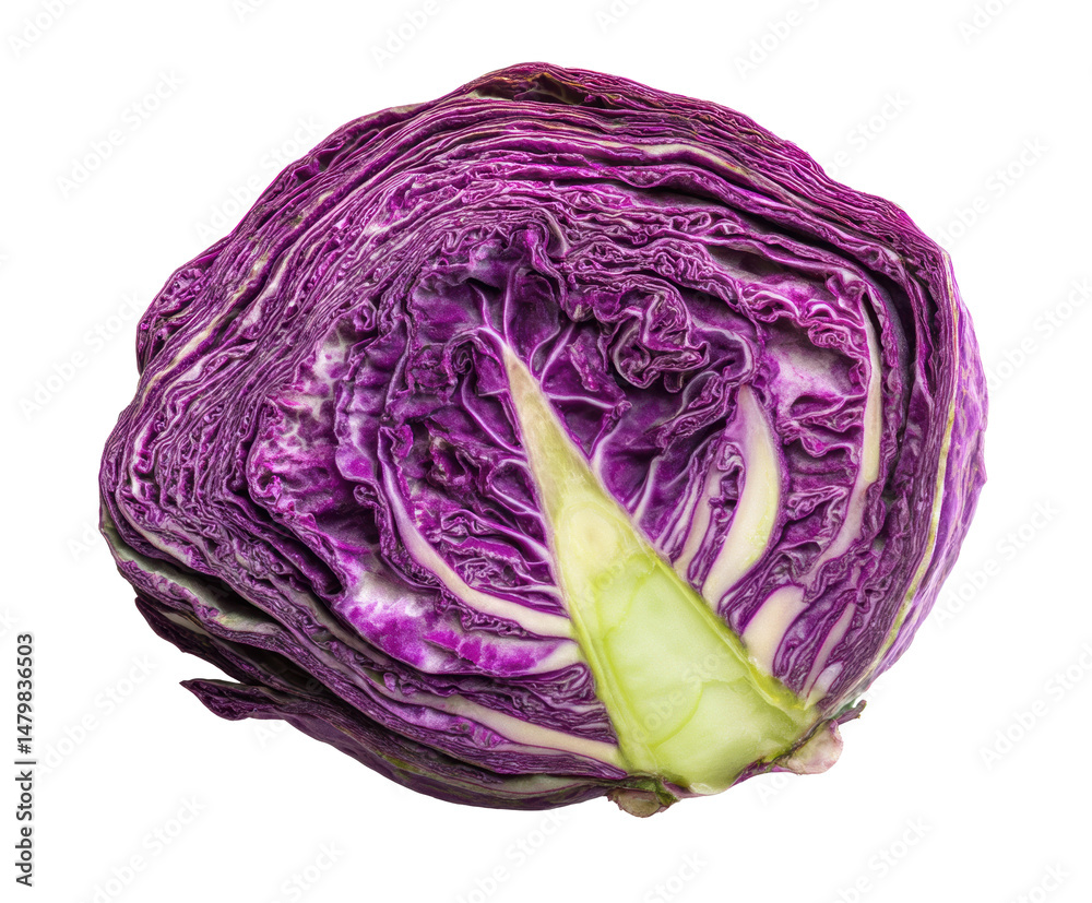 Obraz premium Fresh purple cabbage ready for healthy meals and salads, cut out transparent
