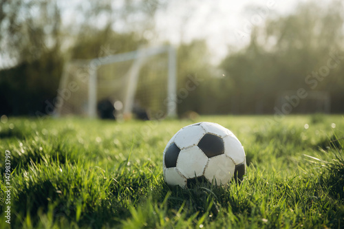 Close up view of soccer ball on the summer field under sunlight