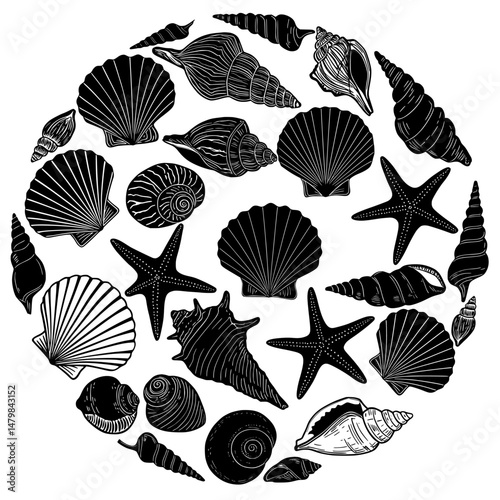 Set of different black sea shells and starfish vector illustration. Seashells and Starfish Vector Collection – Black and White Nautical Marine Life Silhouettes for Beach and Ocean Design.