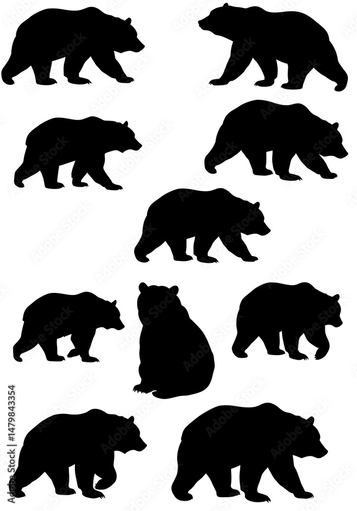 Fototapeta premium Majestic Bear Silhouettes: A Dark Elegance