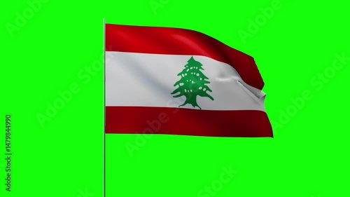Greenbox Flag Waving on Pole