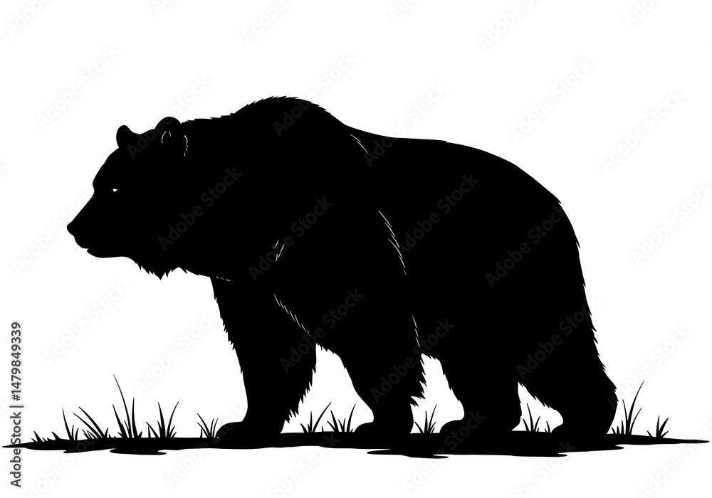 Fototapeta premium Majestic Bear Silhouette: Strength in Shadow