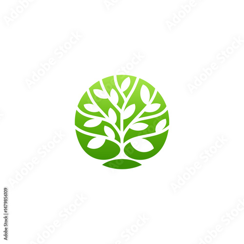 Abstract plant in circle modern logo. fresh colors dynamic green
