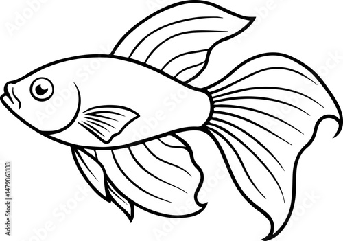 Betta fish outline drawing vector illustration for coloring book page