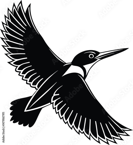 vector illustration of a king fisher bird 