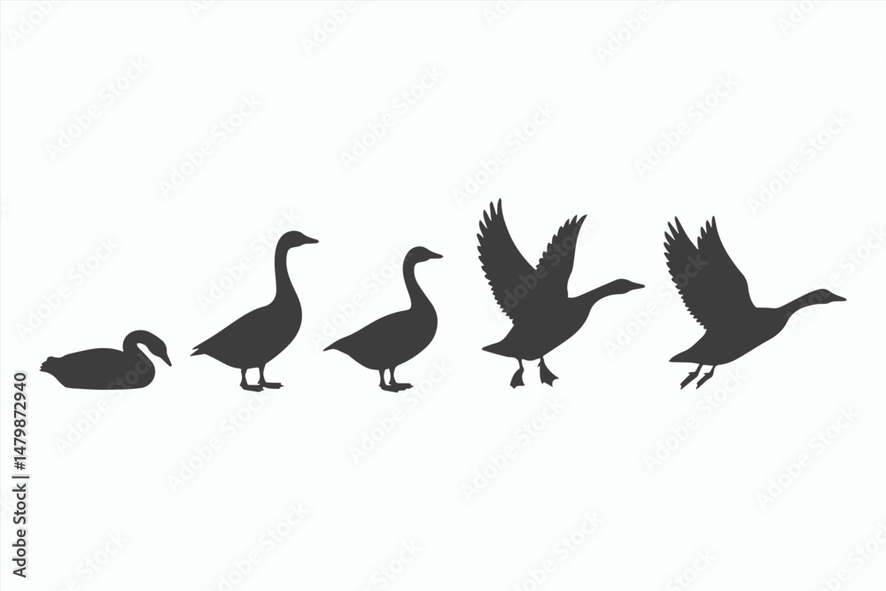 Obraz premium Goose Life Cycle Stages Silhouette Illustration