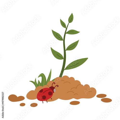 Illustration of ladybug crawling on ground to a branch. Spring illustration flowering plants. Color flat illustration. Suitable for spring postcards, prints, blog design, children's books, children's