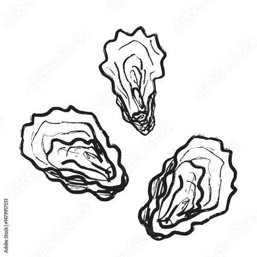 Three oyster shells in black brush stroke texture isolated on white. Hand drawn vector sketch illustration in vintage charcoal ink. French seafood design, Mediterranean diet, exotic food