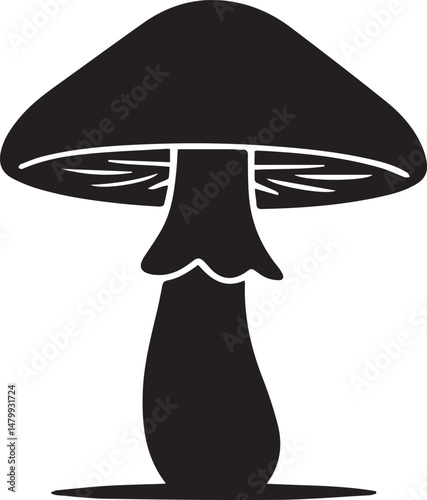 A vector illustration shows an isolated red and white fly agaric mushroom, a poisonous fungus often found in the autumn forest