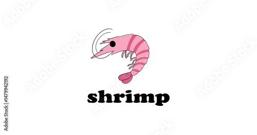 studying sea animals in english, shrimp