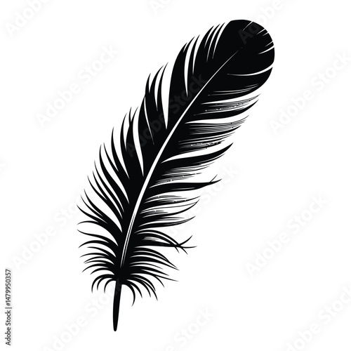 Oriole Feather Silhouette, Vector, Illustration, Icon, Logo, White Background.