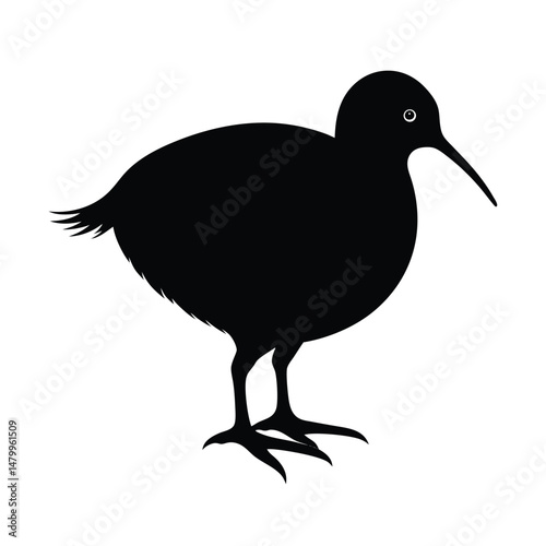 a black silhouette of a kiwi bird on vector art illustration
