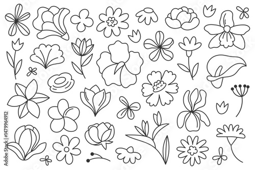 Doodle summer flowers. Simple hand-drawn florals perfect for seasonal designs, cards, and organic packaging.