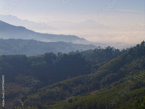 Aerial vire tropical green background of tropical rain forest morning with fog