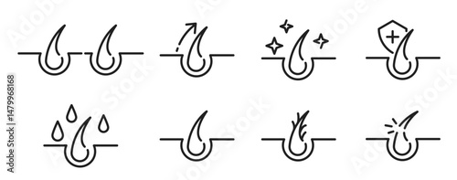 Hair care. Follicle icon set. Hair growth and beauty icons. Vector illustration
