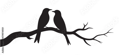 Silhouette of Birds in Love on a Bare Branch