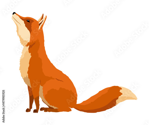 Red fox. Funny character, forest mammal predator. Cartoon forest animal, mammal with cute emotion on face. Orange fox, wildlife animal, isolated on white background