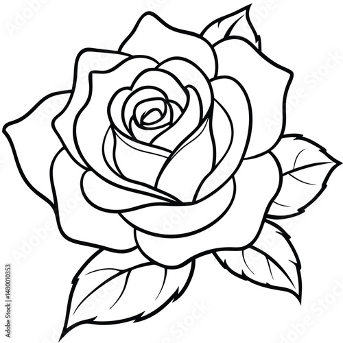 A Beautiful And Detailed Line Drawing Of A Rose With Large Petals photo