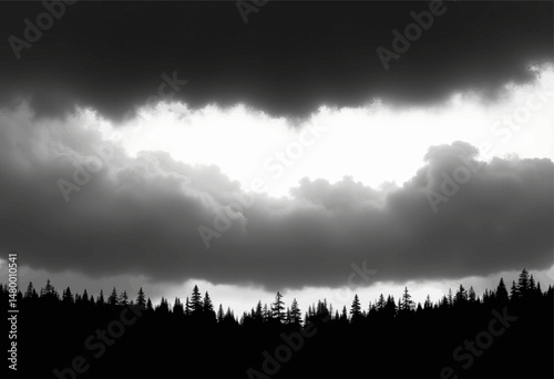 Dramatic Forest Silhouettes Under Stormy Skies