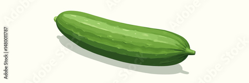 Fresh Green Cucumber in Minimalist Style on White Background
