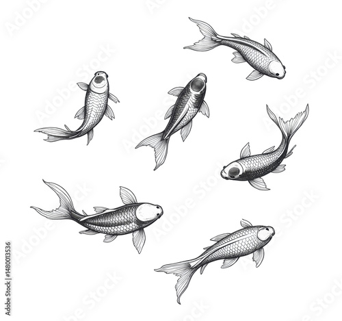 Graceful Koi Fish Swimming in Circle Monochrome Serenity
