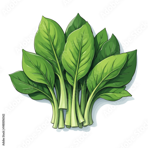 Lush Green Leaves Bundle Freshness Nature Healthiness