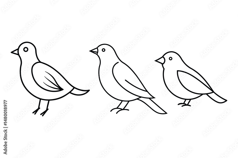 Fototapeta premium simple bird line art vector illustration 