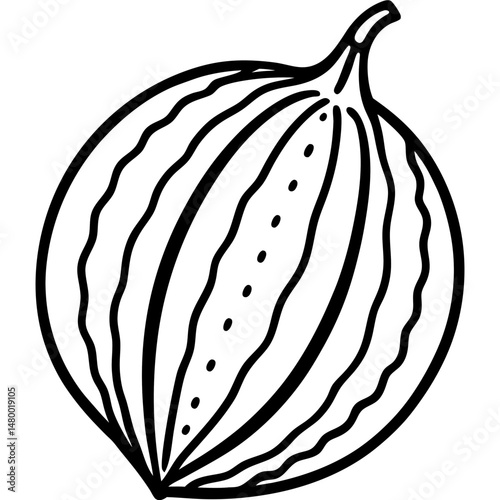 Stylized Bitter Melon Vector Illustration
