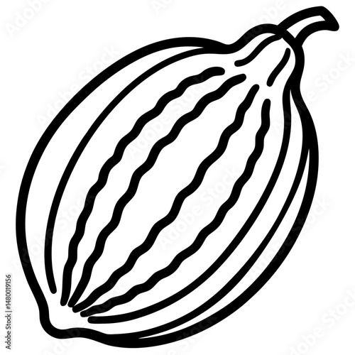 Stylized Bitter Melon Vector Illustration