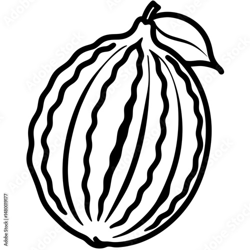 Stylized Bitter Melon Vector Illustration