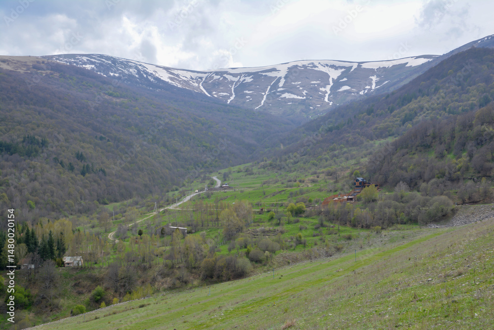 Obraz premium High mountains and green fields. Green forests and beautiful mountains. Mountain landscape