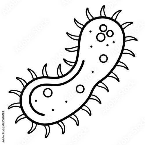 e--coli-line-art-vector