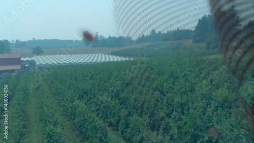 Orchard rows stretching across sloping farmland, revealing greenhouse structures and mesh overlay