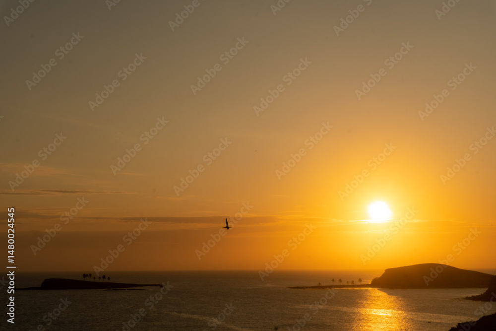 Fototapeta premium sunset over the sea