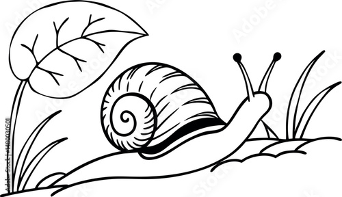 Snail with Shell Vector Art Design