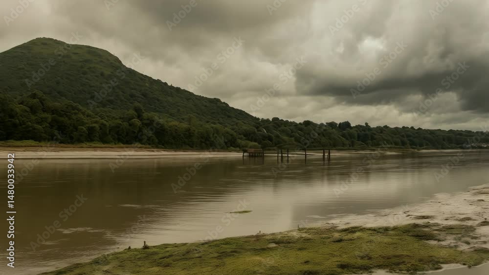 Scenic riverside vista featuring a tranquil river, lush green forests, grassy mudflats, and a moody cloudy sky in a peaceful nature landscape.