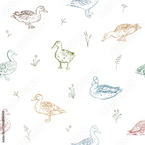 Ducks and flowers seamless pattern in vector. Hand-drawn mallard duck illustration with wildflowers and herbs on white background. Springtime pattern with nature elements and waterfowl aquatic birds