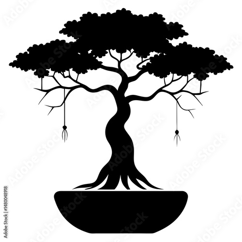 bonsai tree isolated on white